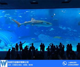 杭州大型亞克力魚缸設(shè)計(jì)公司及廠家推薦 全景展示，打造水中藝術(shù)