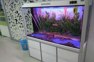 魚缸也有壽命，你的魚缸是否已“過期”？
